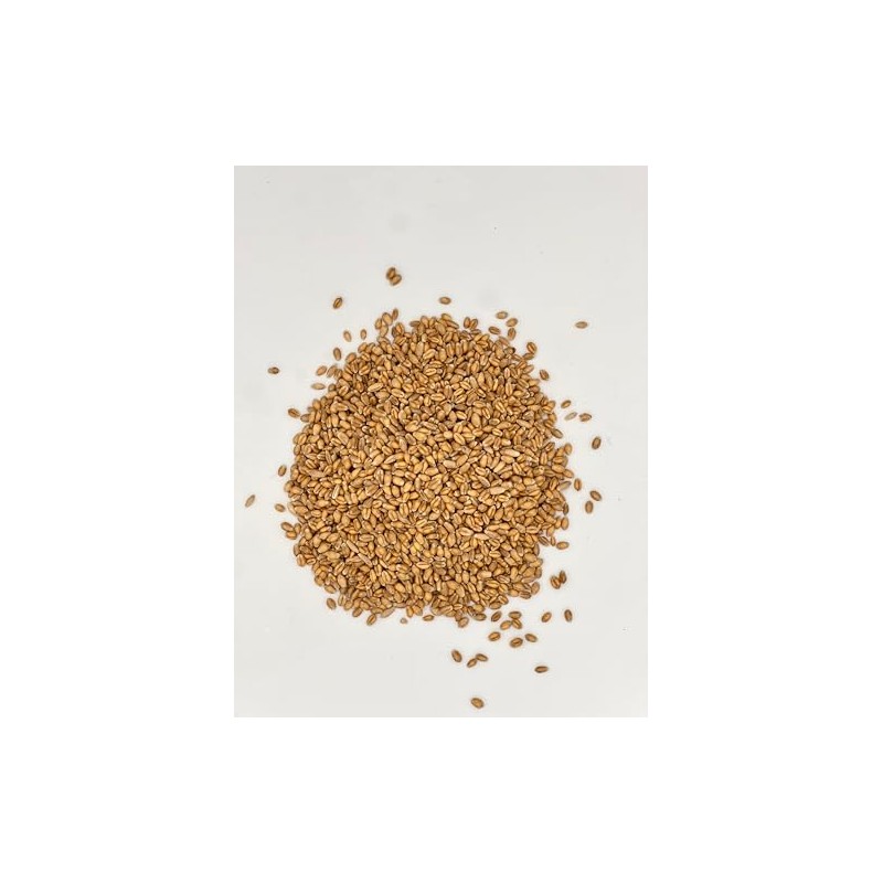 Thunder Acres Premium Soft Red Winter Wheat Seed (2, Pounds)