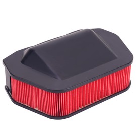 Road Passion 3D8-14451-00 - Filtro de aire de repuesto para Yamaha XVS1300CTF V-Star Deluxe 2013-2017/XVS1300CU Stryker 2011-2016/XVS1300BG V-Star Deluxe 2011-2015