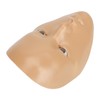 Silicone Makeup Practice Full Face Board with 20ml Cleansing Oil