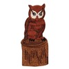 ID 0714 Owl On Stump Patch Night Life Animal Hoot