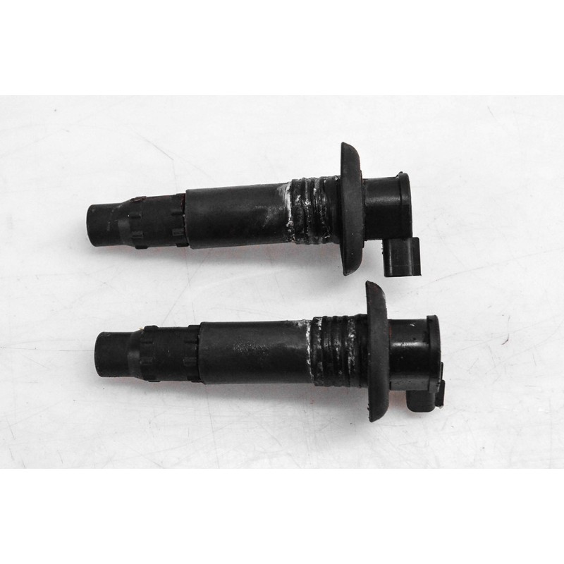 Sea-Doo New OEM Ignition Coil Kit, 296000307