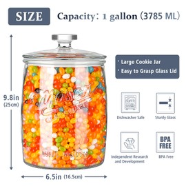 1 Gallon Glass Cookie Jar, Large Glass Jar with Airtight lid, Glass Food Storage Container for Cookies, Candy, Flour, Dog Treats, Coffee, Laundry Room Storage & Pantry