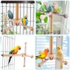 360 Degree Free Rotating Bird Toy, Hanging Toy for Bird