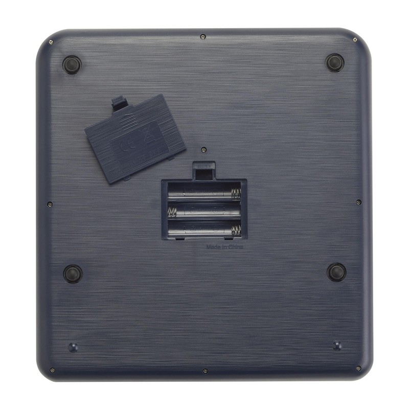 Taylor Digital Kitchen Scale with Antimicrobial Surface Plastic Body Weighs