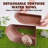 Swirge Tortoise Water Dish with Ramp, 3PCS Tortoise Food Water