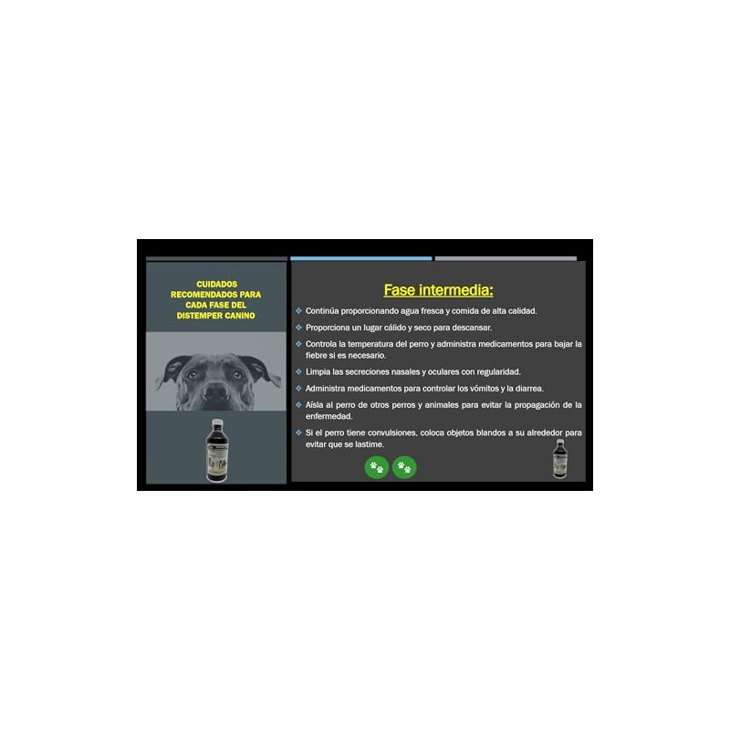 NanoDog Plata Nanopartículas PVP