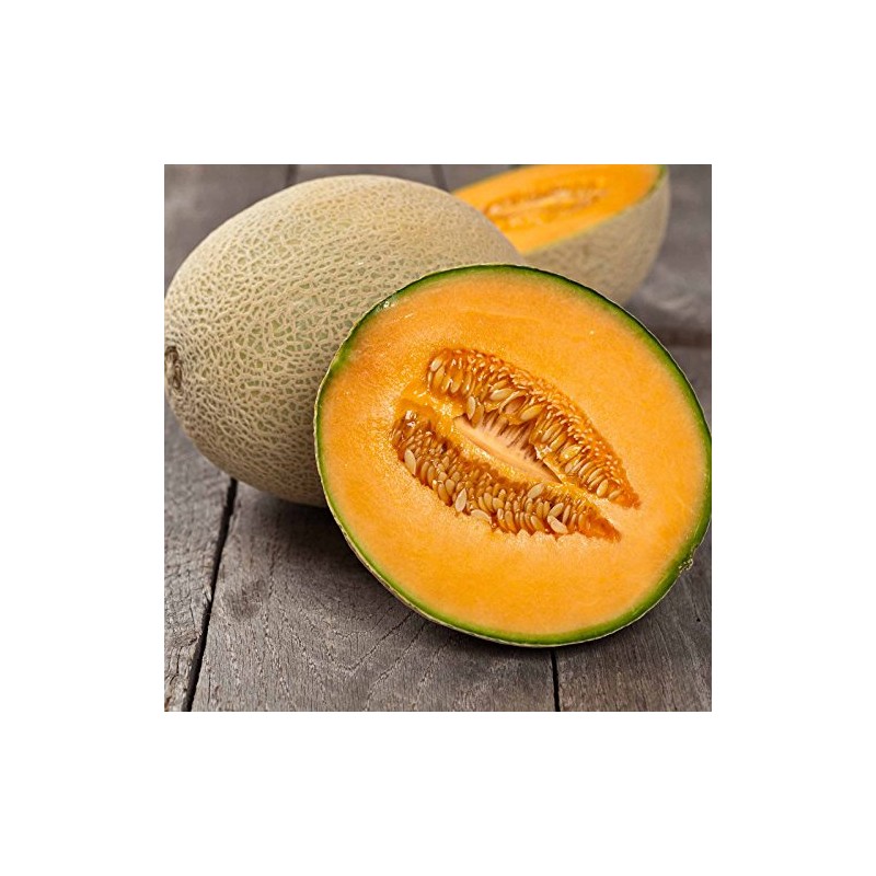 Cantaloupe Melon Garden Seeds - Imperial 45-1 Lb - Non-GMO,