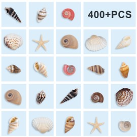 SKOOLOVE 9 tipi di piccole ciotole marine e 20 pezzi di piccole stelle marine ciotole naturali per artigianato, decorazioni candele, vaso, tema festa in spiaggia, decorazioni per la casa