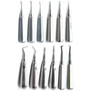 12 Pcs Dental Extraction Elevators Straight Curved Cogswell Cryer Spear