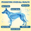 Taurine for Dog Taurine Powder, Heart Cardiac Vision Energy Hip