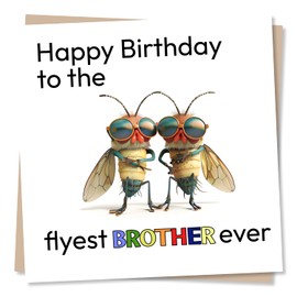 Funny Brother Birthday Card - Cartoon Fly Design - Happy Birthday To The Flyest Brother Ever - For Older or Younger Brother