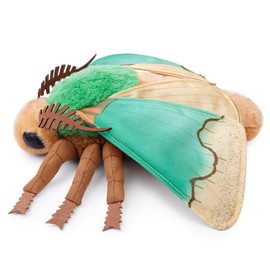 BABY FRANKIEZHOU Parasa Consocia Plush Toy,Green Moth Stuffed Animal, Green Moth Plush ，Moth Plushies ，Unique Gift for Kids，Friends，Home Decor