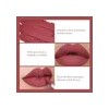 12 Colores Labiales Mate Larga Duracion Pintalabio Regalo