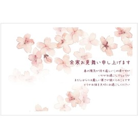 5 Sheets * Aftercold Sympathy Postcards 5 Pack (Sakura b) (Private Postcard/Back Printed / No Stamps)