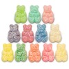 Albanese World's Best Sour 12 Flavor Gummi Bears | 7oz