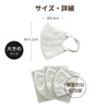 [医食同源ドットコム] iSDG 立体型スパンレース不織布カラーマスク 大きめ SPUN MASK (スパンマスク) 個包装 30枚入り ホワイト