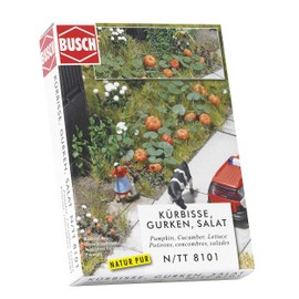 Pumpkin Cucumber & Lettuce