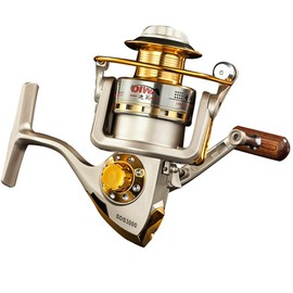 Diwa Spinning Fishing Reels for Saltwater Freshwater 1000 2000 3000 4000 5000 6000 Series Fishing Spool Left/Right Interchangeable Trout Carp Spinning Reel 10 Ball Bearings Light and Smooth (1000)