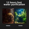boxtech Aquarium Filter Media, Biological Filter Media for Aquarium Ceramic