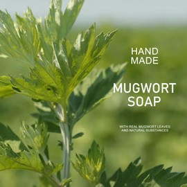 KYDA 2 Pcs Mugwort Soap Bar, Handmade Mugwort Bath Soap, Mugwort Essential Oil Bath Soap, Bath & Body Cleansing Soap Bar, Firm and Tender Skin, Mildly Cleansing with Natural Plant