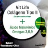 Colágeno Tipo II Ácido Hialurónico Guanabana 1 kg VitLife