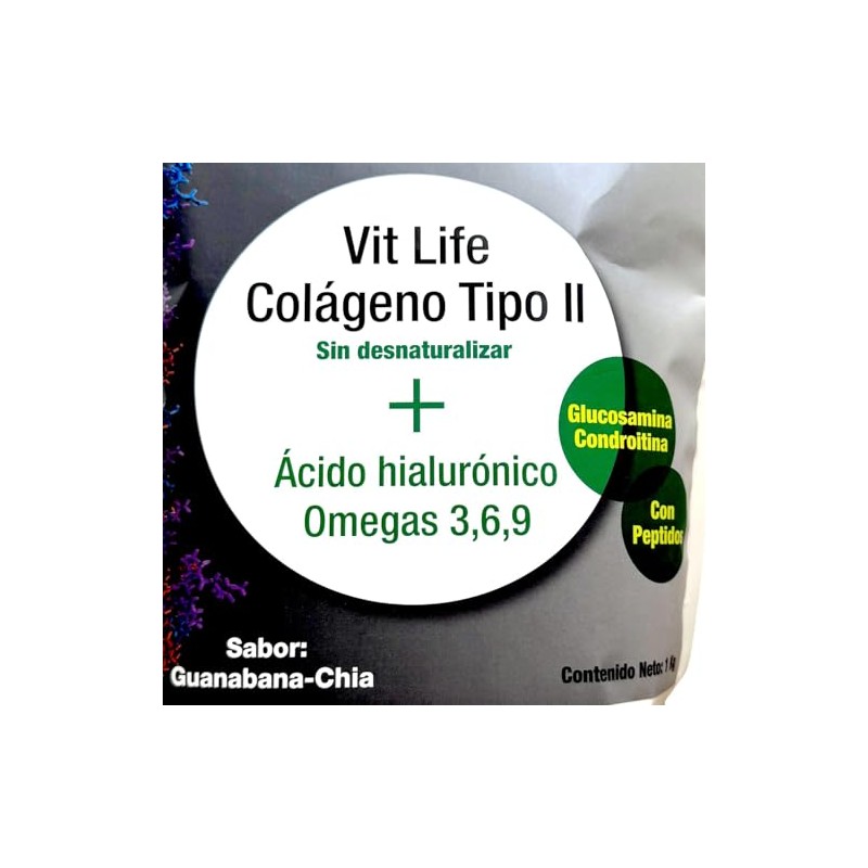 Colágeno Tipo II Ácido Hialurónico Guanabana 1 kg VitLife