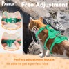 Pawfun Fully Escape Proof Cat Harness and Leash Set for