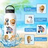 Mistree 50 Africa Animals Stickers, Animals, Realistic, Jungle Stickers, Waterproof,