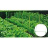 Riegolux 999156 20 x 20 cm Structure Mesh, Green, 2