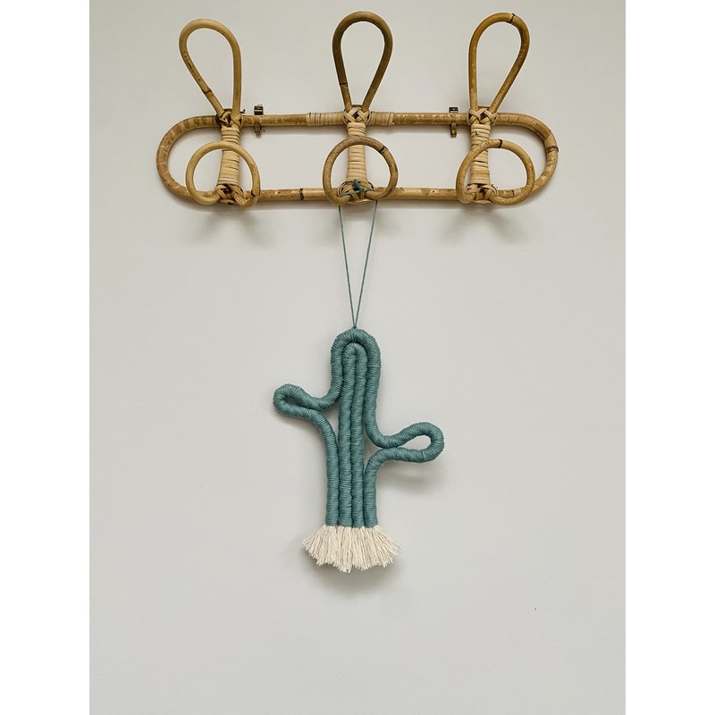 Enia Store Macrame Cactus Wall Hanging Crafts Kit (Sage)