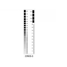 myzox Crack Scale 35 X 150 mm Crks – 3 