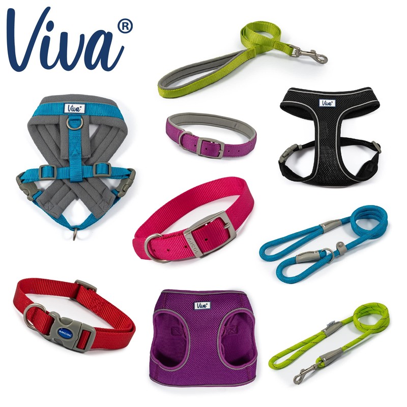 Ancol Viva Step-in Comfort Harness Blue.Small- To fit 35-42cm