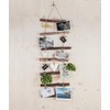 Rayher Decorative wooden ladder for hanging, natural