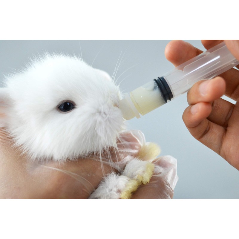 Pet Feeding Bottle. Pet Syringe. Pet Puppy Bottles. Dog and