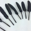 Sowder Black Goose Feather for Craft Wedding Home Decorations Pack