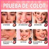 SANIYE Pure Mineral Rubor en Polvo Compacto Textura Ultrafina Color