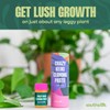 Keiki Cloning Paste by Southside Plants – Nutrient-Rich Paste for