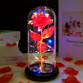 Valentines Day Gifts for Her, I Love You Gifts for Her, Birthday Gifts for Women, Galaxy Crystal Light Up Rose in A Glass Dome,Valentines Roses Flowers Gifts for Mom Wife Girlfriend Presents, Red