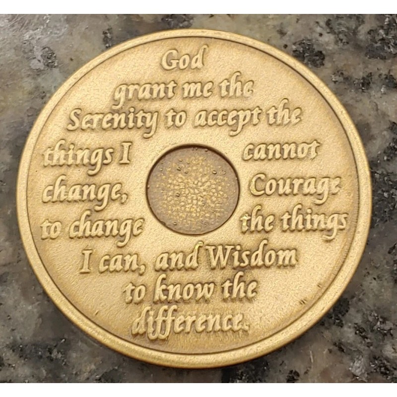 8 Year AA Medallion Alcoholics Anonymous Sobriety Chip Coin VII