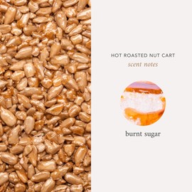 Literie NYC Inspired Scented Candle: Hot Roasted Nut Cart - Burnt Sugar Scent, 9oz, 50 Hour Burn, Vegan Soy & Coconut Blend Candle for Home Decor, Gift for Women & Men