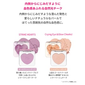 ETUDE Heart Pop Brusher Aurora Chandelier (COOL, Winter) / Teak