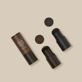 McQueen New York Fake Up Hair Cover Cover Stick 2.5g / 맥퀸뉴욕 페이크 업 헤어 커버 새치 커버스틱2.5g