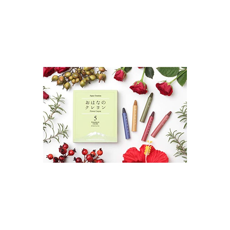 mizuiro ST-VEGI009 Standard Crayons