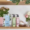 Love Beauty & Planet Blue, Coconut & Mimosa Blossom Face
