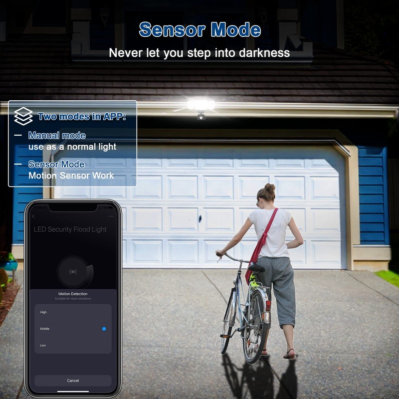 EMANER Smart Security Light Motion Sensor, Compatible with Alexa/Google Home,