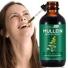 Hatmanlabs Mullein Leaf Extract - Mullein Drops for Lung -