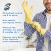 Spot Shot Instant Carpet Stain Remover 14oz Pack of 2