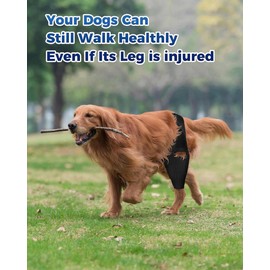 Huimpet Dog Knee Brace, Dog ACL Brace for Front Torn and Back Hind Rear Legs ACL Tear, Dog Hip Knee Leg Brace for Hip Dysplasia, Dog Arthritis, Luxating Patella, Comfortable and Adjustable