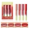 Set de Labiales y Delineadores, 4 Piezas, 01- para Labios