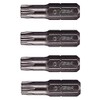 VEGA T40 TORX Security Bits. Professional Grade ¼ Inch Hex